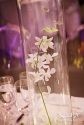 Dendrobium orchids add interest to the body of tall vases